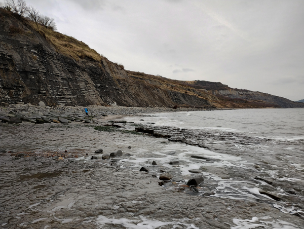 Lyme Regis Coast